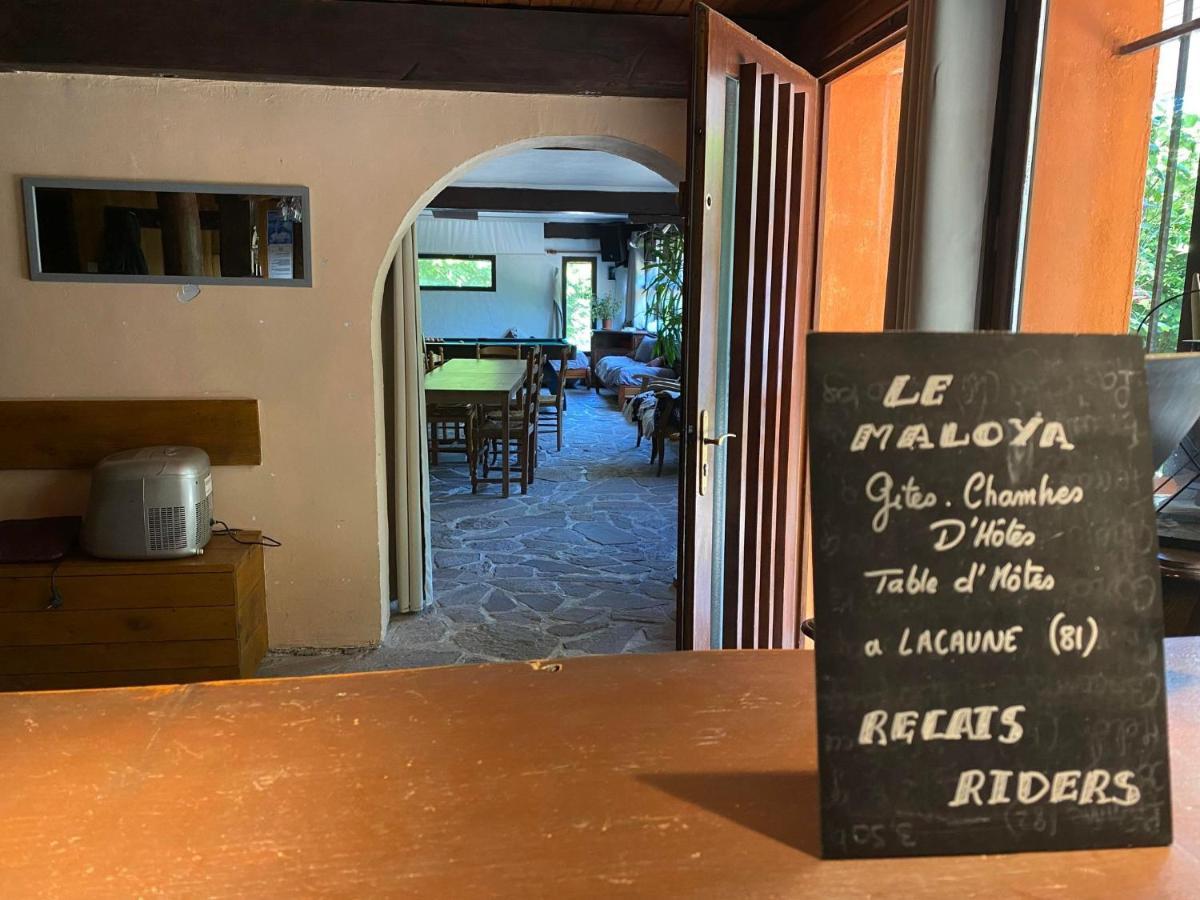 "Le Maloya" Chalets Independants -Chambre Balneo - Relais Motards Lacaune Eksteriør bilde