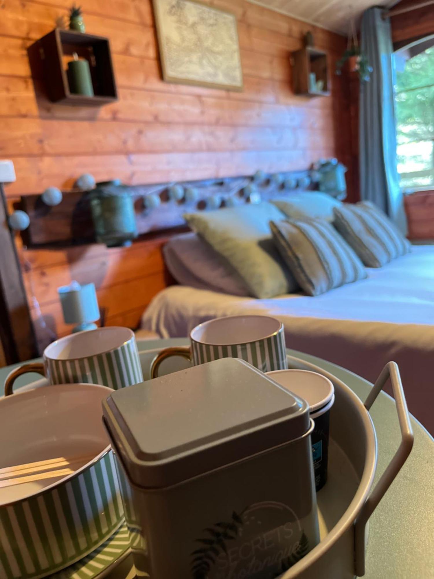 "Le Maloya" Chalets Independants -Chambre Balneo - Relais Motards Lacaune Eksteriør bilde