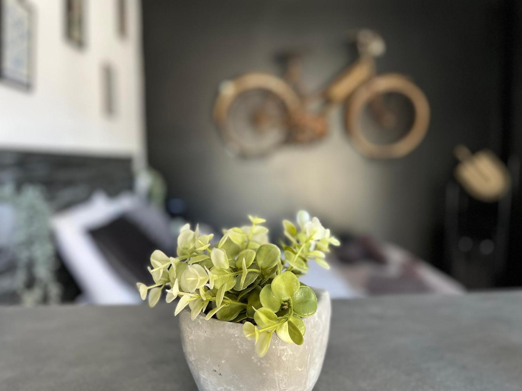 "Le Maloya" Chalets Independants -Chambre Balneo - Relais Motards Lacaune Eksteriør bilde