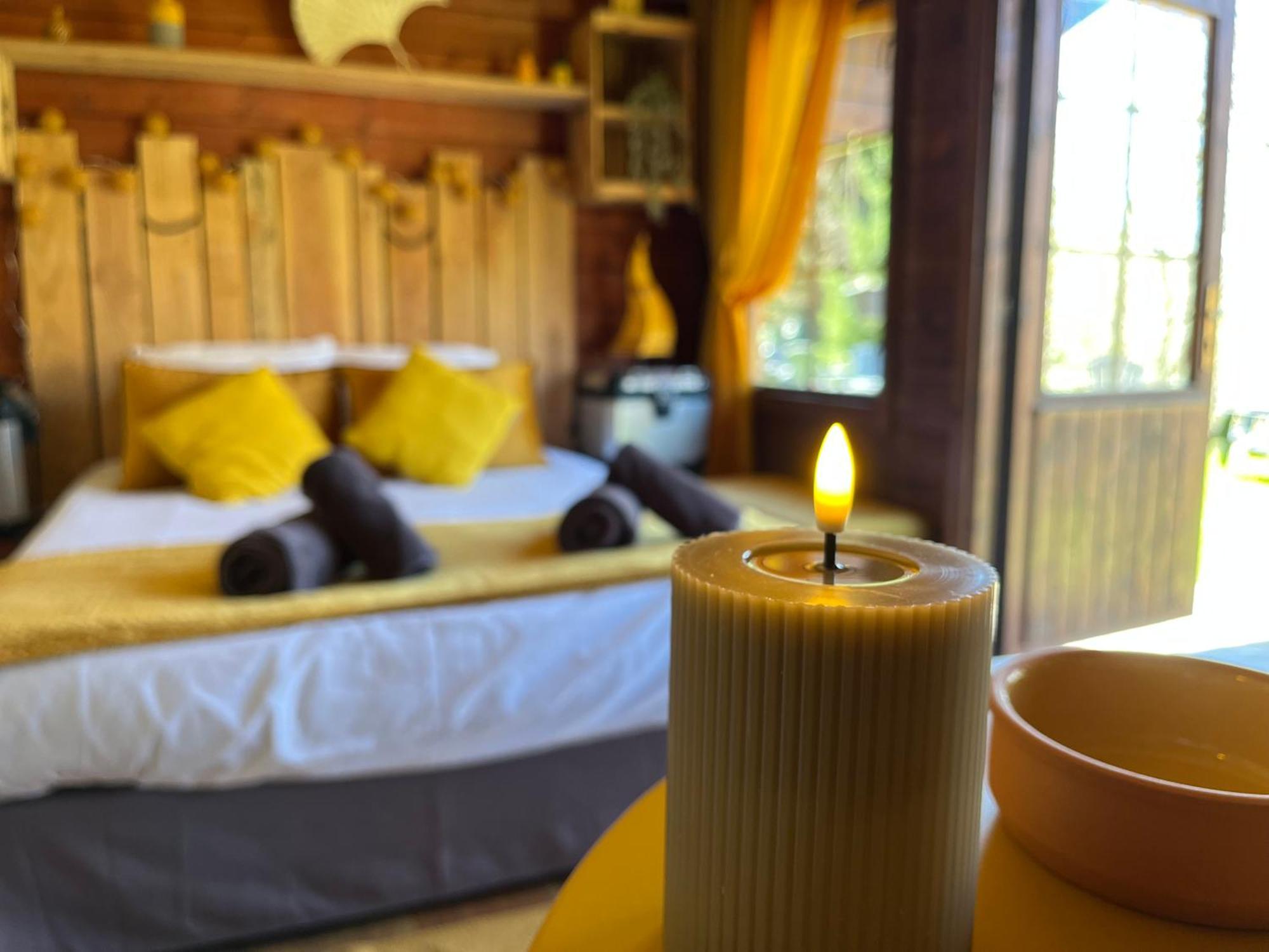 "Le Maloya" Chalets Independants -Chambre Balneo - Relais Motards Lacaune Eksteriør bilde